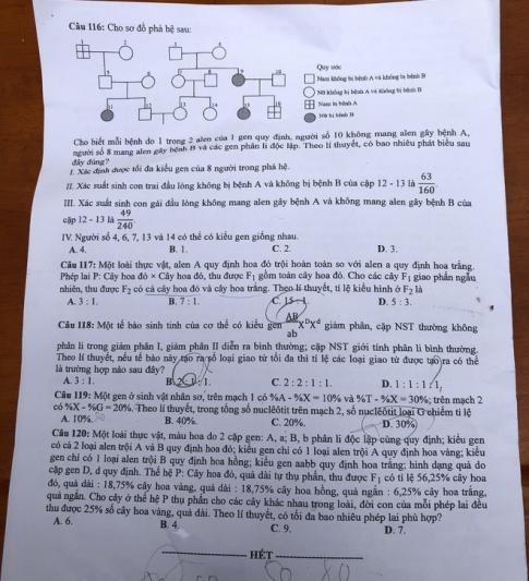 Thi THPQG 2020: Đề thi và đáp án môn Sinh học mã đề 213