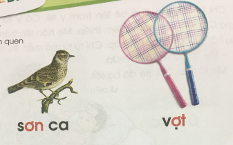 [Cánh điều] Giải Tiếng Việt 1 tập 1 bài 71: ơn, ơt