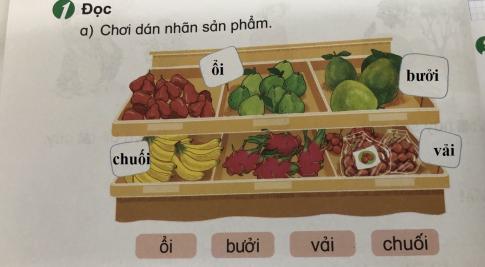 [Phát triển năng lực] Tiếng việt 1 bài 6E: Ôn tập ai- ây- ay, oi - ôi- ơi, ui - ưi, uôi - ươi