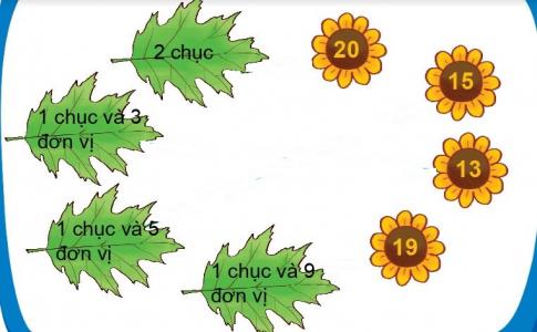 [Phát triển năng lực] Giải toán 1 bài: Ôn tập 5