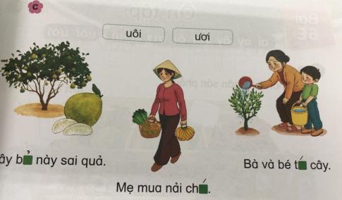 [Phát triển năng lực] Tiếng việt 1 bài 6D: uôi, ươi