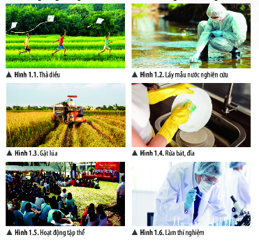 [Chân trời sáng tạo] Giải khoa học tự nhiên 6 bài 1: Giới thiệu về khoa học tự nhiên