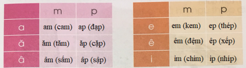 [Cánh điều] Giải Tiếng Việt 1 tập 1 bài 45: Ôn tập