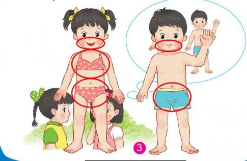 [Phát triển năng lực] Giải tự nhiên và xã hội 1 Bài 22: Cơ thể của em