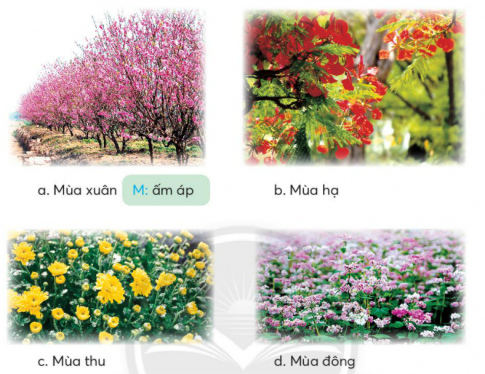 [Chân trời sáng tạo] Giải tiếng việt 2 bài 2: Đầm sen