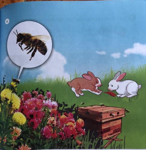 [Cánh diều] Giải tự nhiên và xã hội 1 Bài1: Các con vật quanh em