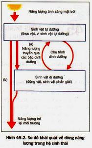 Kết quả hình ảnh cho dòng năng lượng