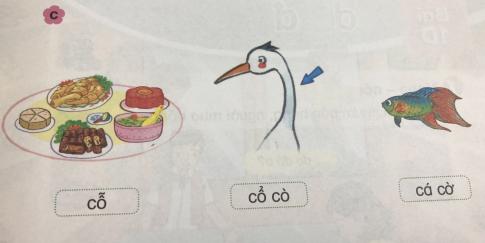 [Phát triển năng lực] Tiếng việt 1 bài 1C: ô, ơ