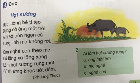 [Phát triển năng lực] Tiếng việt 1 bài 14E: oc, ôc