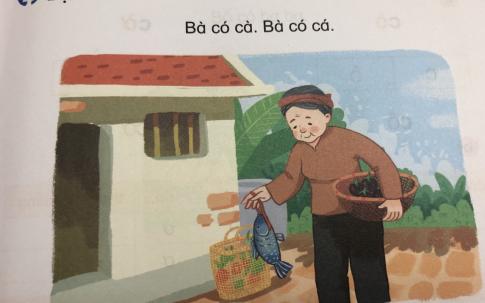 [Phát triển năng lực] Tiếng việt 1 bài 1B: c, o