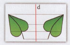 Giải VNEN toán 8 bài 4: Hình có trục đối xứng