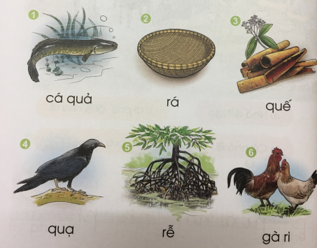 [Cánh điều] Giải Tiếng Việt 1 tập 1 bài 24: Chữ qu, r