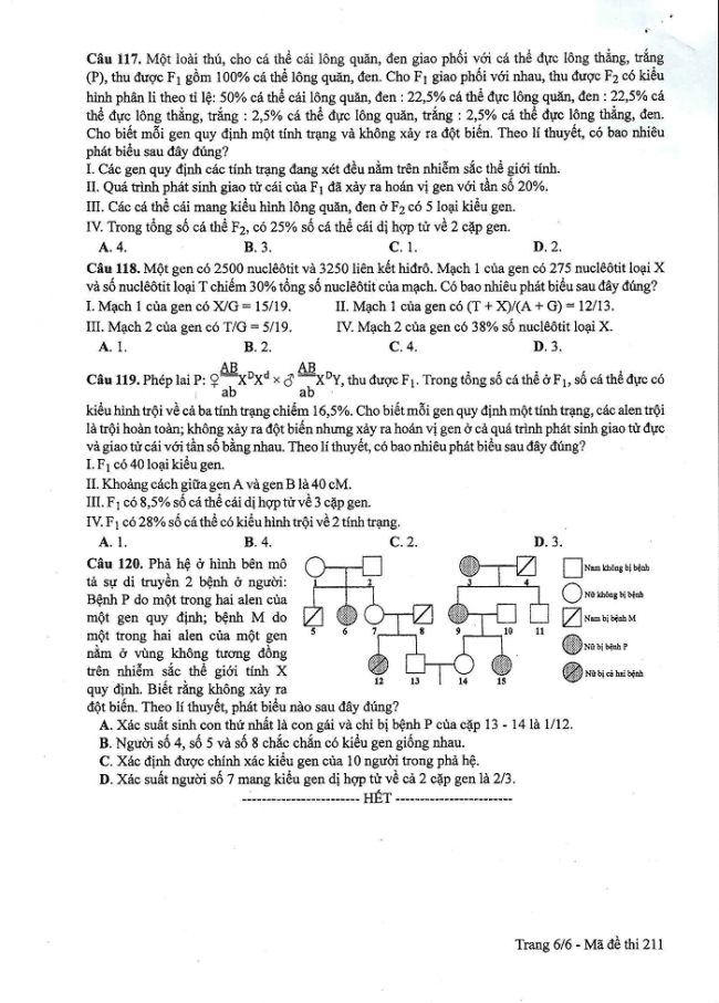 Đề và đáp án môn Sinh học mã đề 211 thi THPT quốc gia năm 2017 - đáp án của bộ GD-ĐT