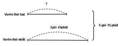 Giải vbt toán 5 tập 2 bài 124: Trừ số đo thời gian - Trang 51, 52
