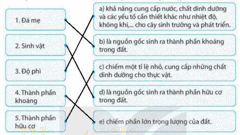 [KNTT] Giải SBT lịch sử và địa lí 6 bài: Lớp đất trên Trái Đất