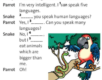 [Friends plus] Wild life - Language Focus (Question with How..?)