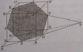 Giải Câu 5 Bài Ôn tập cuối năm-3