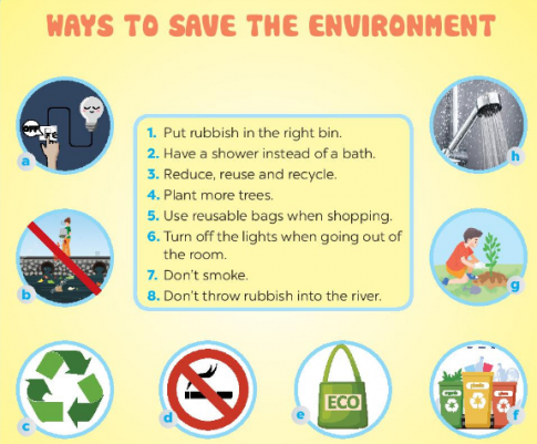 Giải SBT tiếng anh 6 Global success unit 11: Vocabulary & Grammar