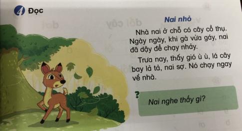 [Phát triển năng lực] Tiếng việt 1 bài 6A: â, ai, ay, ây