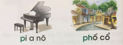 [Cánh điều] Giải Tiếng Việt 1 tập 1 bài 23: Chữ p, ph