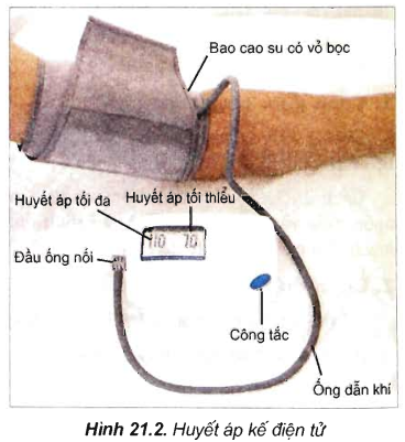 Giải sinh 11 bài 21: Thực hành Đo một số chỉ tiêu sinh lí ở người