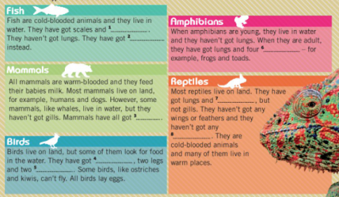 [Friends plus] Giải tiếng Anh 6 unit 3 Wild life - CLIL