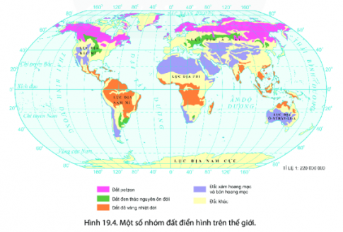 [Chân trời sáng tạo] Giải địa lí 6 bài 19