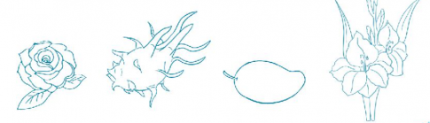 [CTST] Giải VBT Tiếng Việt 2 bài 3: Trái chín