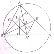 Giải Câu 2 Bài Ôn tập cuối năm