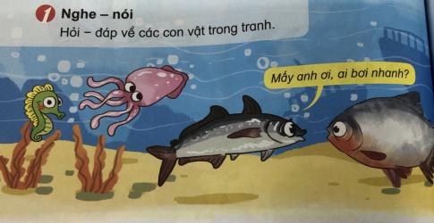 [Phát triển năng lực] Tiếng việt 1 bài 15A: uc, ưc