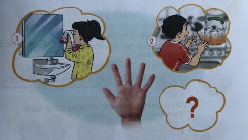 [Cánh diều] Giải tự nhiên và xã hội 1 Bài 15: Các giác quan