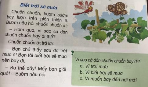 [Phát triển năng lực] Tiếng việt 1 bài 12A: ươm, iêm, yêm