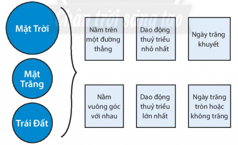 [Chân trời sáng tạo] Giải SBT lịch sử và địa lí 6 bài 18: Biển và đại dương