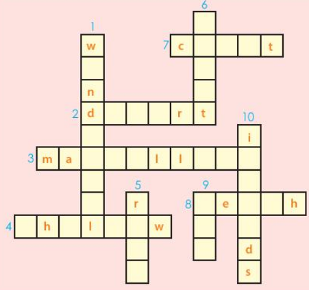 Giải SBT tiếng anh 6 Global success unit 5: Vocabulary & Grammar