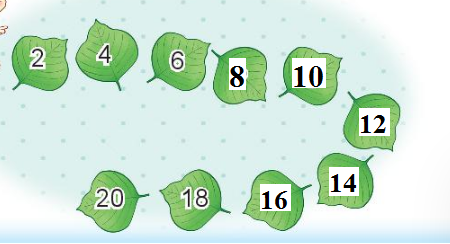 [Kết nối tri thức và cuộc sống] Giải toán 2 bài: Bảng nhân 2