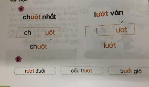 [Phát triển năng lực] Tiếng việt 1 bài 10E: uôt, ươt