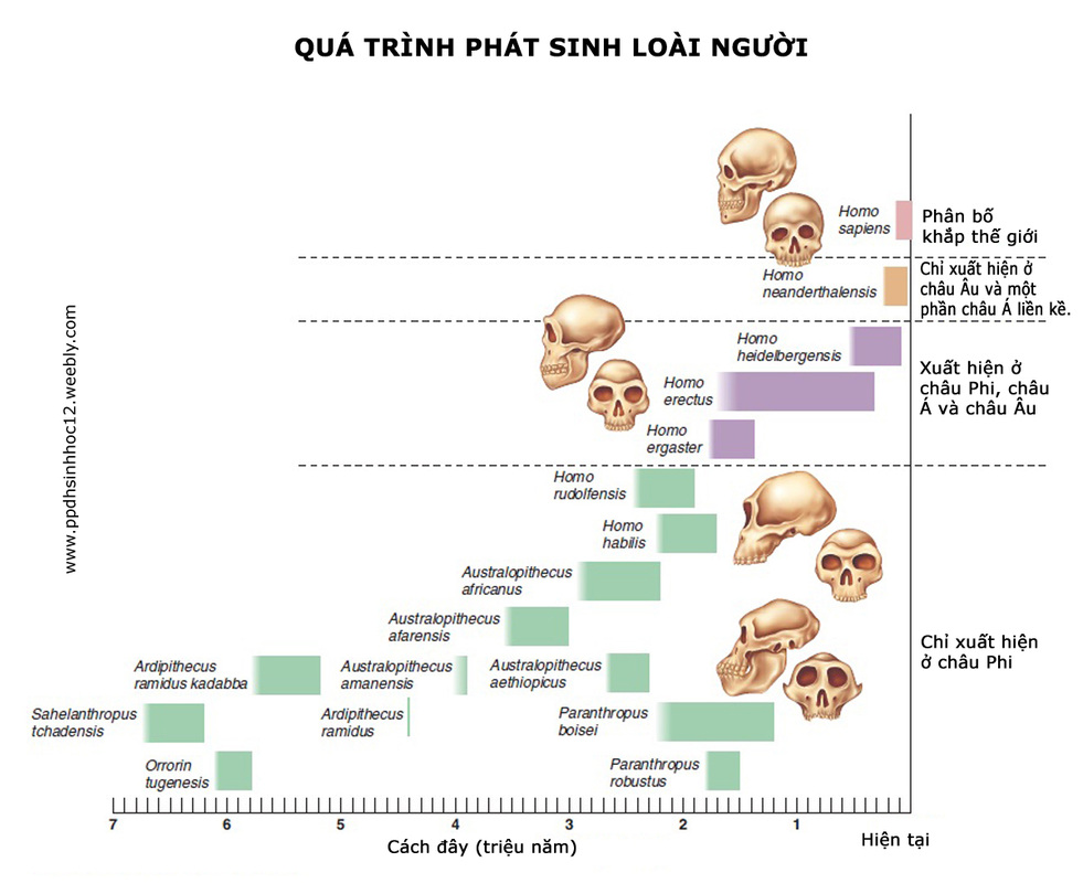 Hình ảnh có liên quan