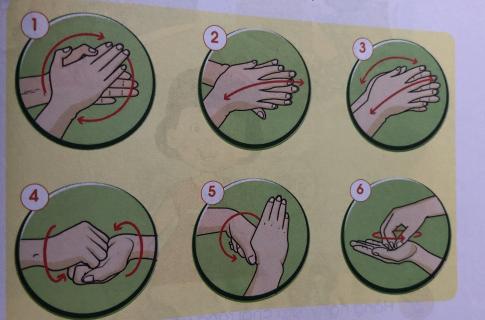 [Cánh diều] Giải tự nhiên và xã hội 1 Bài 18: Thực hành: rửa tay, chải răng, rửa mặt