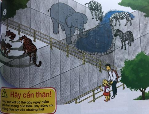 [Cánh diều] Giải tự nhiên và xã hội 1 Bài 13: Thực hành Quan sát cây xanh và các con vật