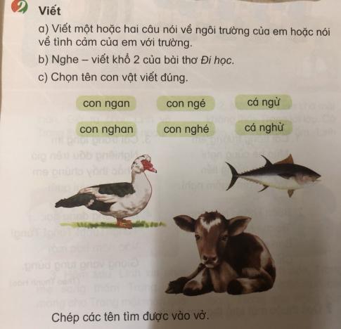 [Phát triển năng lực] Tiếng việt 1 bài 19D: Ngôi trường của em
