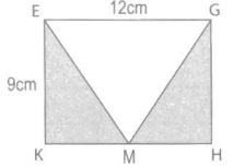 Giải vbt toán 5 tập 2 bài 121: Tự kiểm tra - Trang 46