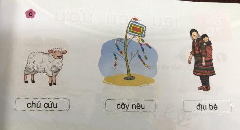 [Phát triển năng lực] Tiếng việt 1 bài 7C: êu, iu, ưu