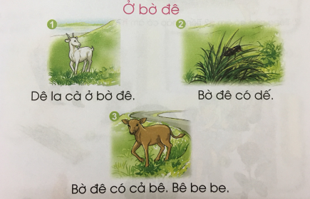 [Cánh điều] Giải Tiếng Việt 1 tập 1 bài 11: Chữ cái b, bễ