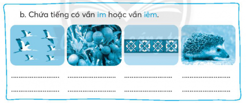 [CTST] Giải VBT Tiếng Việt 2 bài 2: Rừng ngặp mặn Cà Mau