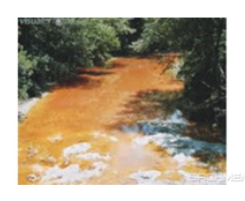 Giải VBT tiếng Anh 6 VNEN unit 11: Our greener world