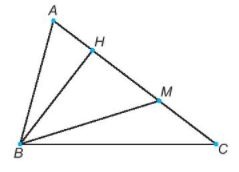 [KNTT] Giải SBT toán 6 bài: Ôn tập cuối năm
