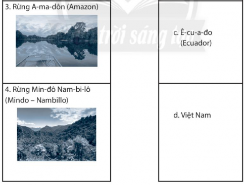 [CTST] Giải SBT lịch sử và địa lí 6 bài 20: Sinh vật và sự phân bố các đới thiên nhiên