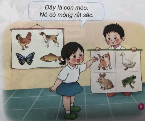 [Phát triển năng lực] Giải tự nhiên và xã hội 1 Bài 18: Các bộ phận của con vật