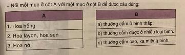 Nối cột A với cột B sao cho phù hợp