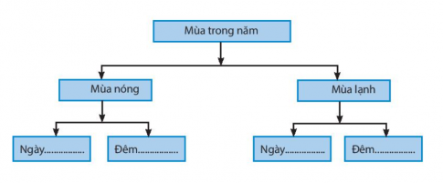 [Chân trời sáng tạo] Giải SBT lịch sử và địa lí 6 bài 7: Chuyển động quanh Mặt Trời của Trái Đất và hệ quả